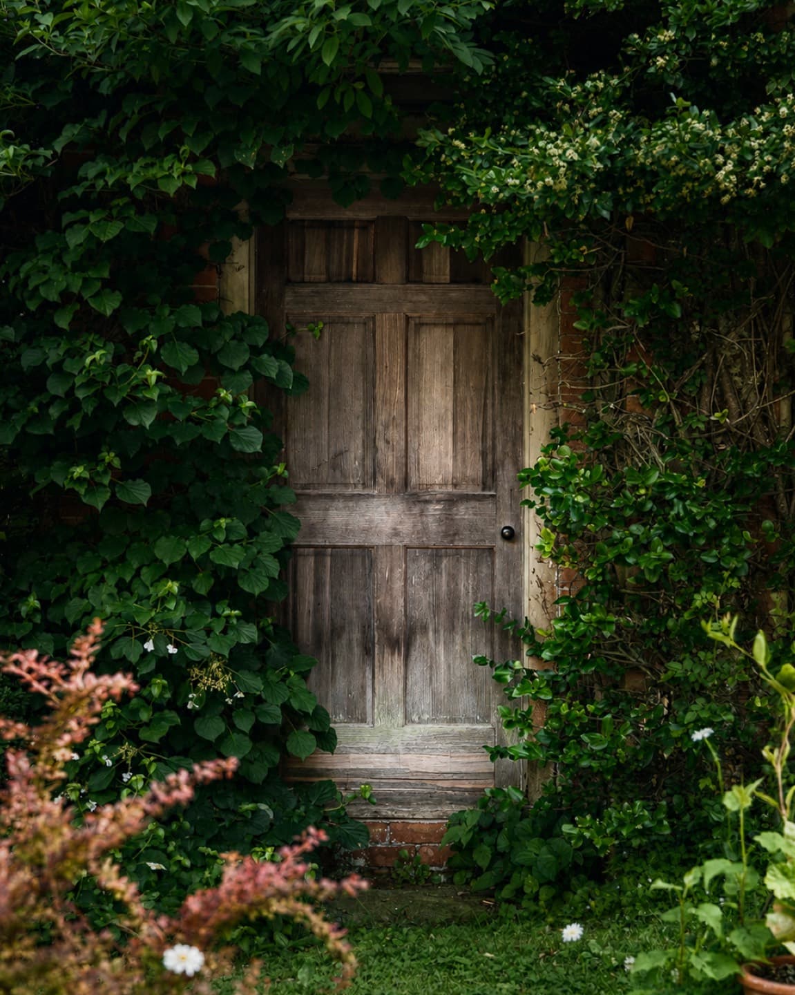 Weathered wooden garden door surrounded by dense green vines and flowers in Litchfield, Connecticut